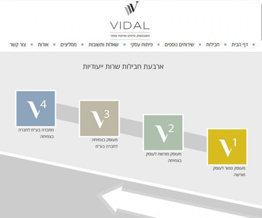 vidal-portfolio